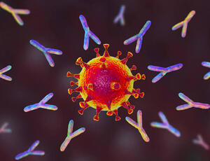 Exame de alta precisão para detectar anticorpos da Covid-19 possibilita melhor acompanhamento da resposta imune.