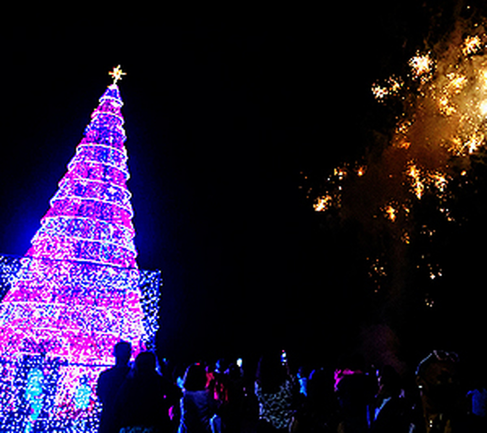 Inauguração das Árvores iluminadas celebra a “Energia do Natal”