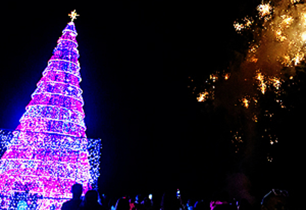 Inauguração das Árvores iluminadas celebra a “Energia do Natal”