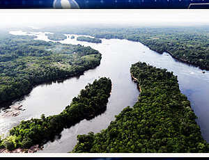 Com general, com Congresso, com tudo: Brasil esquece a COP26 e abre a porteira ao garimpo na Amazônia