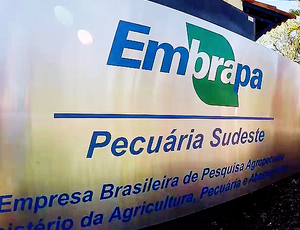 Pesquisadores da Embrapa rechaçam ideia de “privatização” da empresa