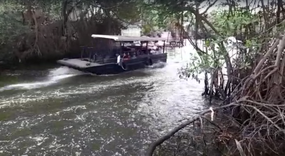 Dia do Meio Ambiente - ALERTA para Ilha da Gigoia, um Santuário Ecológico