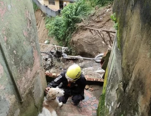 Voluntários que salvaram animais na tragédia das chuvas em Petrópolis vão ganhar a Medalha Tiradentes