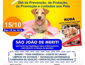 Associação Guerreiros Pet realizará mais uma edição do “Dia P” para animais  em situação de vulnerabilidade no Centro de São João de Meriti