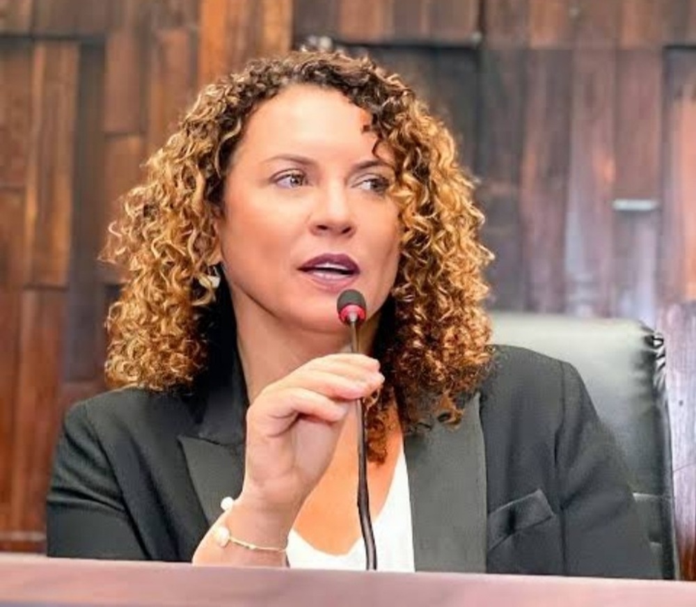 Autora do projeto, Zeidan presidiu a CPI do Feminicídio na Alerj, que fez mais de 120 recomendações a órgãos públicos.