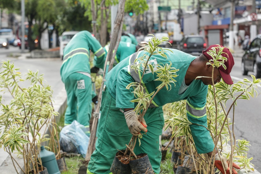 Prefeitura está plantando milhares de mudas de plantas em Niterói 