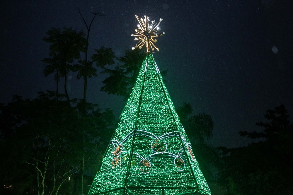 Barreto ganha Árvore de Natal