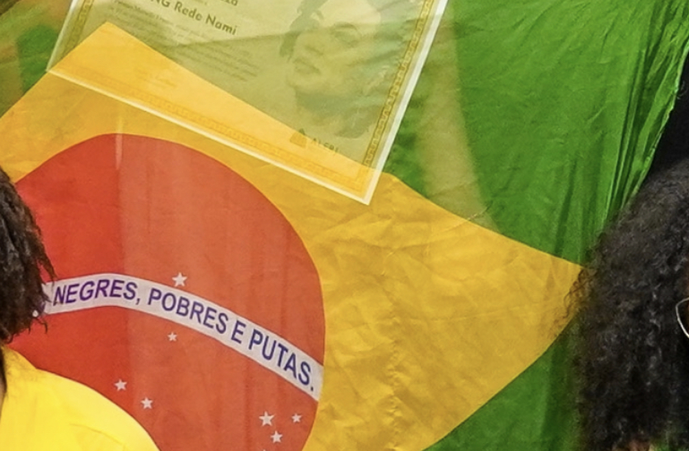 Deputado bolsonarista Filippe Poubel repudia descaracterização da bandeira do Brasil
