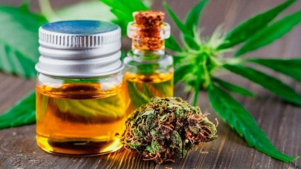 Produto à base de Cannabis, fabricado no Brasil pela Ease Labs, recebe o aval da Anvisa para comercialização em farmácias