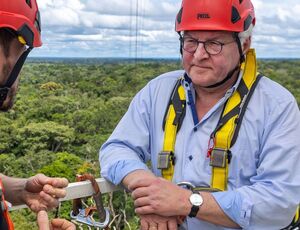 Alemanha retomará investimentos no Fundo Amazônia